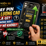 Activation – Ra mắt sản phẩm mới